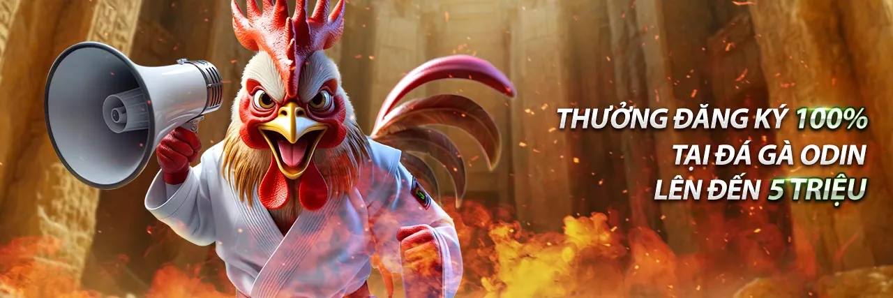 Khuyến Mãi Đá Gà Trực Tiếp Mới Nhất