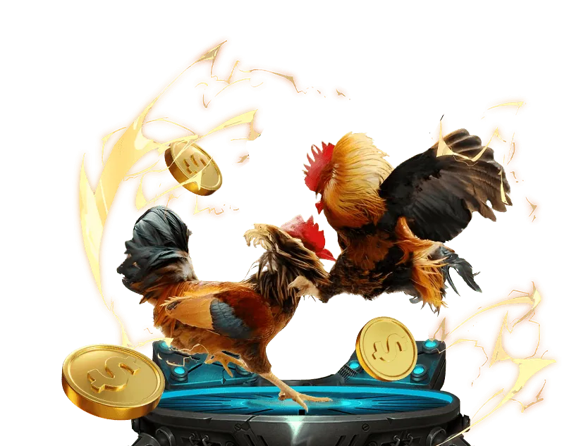 Cá cược đá gà trực tiếp